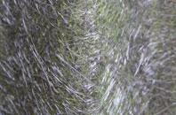 Far Thrupp fibreglass roof work